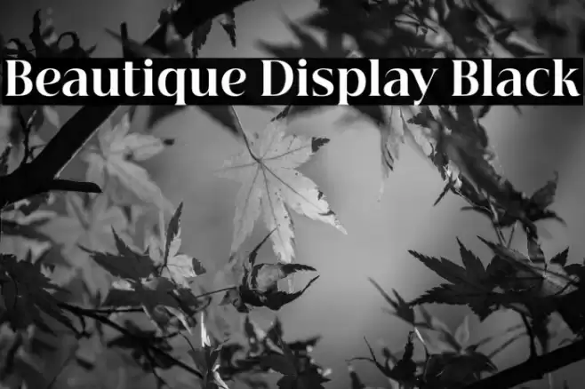 Beautique Display Black Font examples