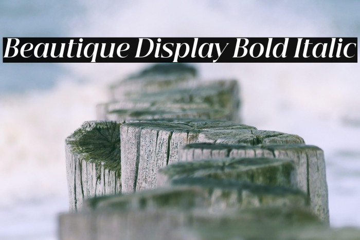 Beautique Display Bold Italic Example 2