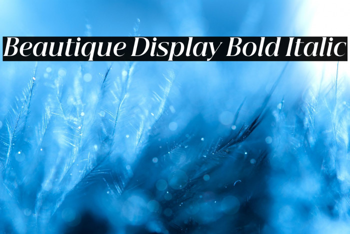 Beautique Display Bold Italic Example 3