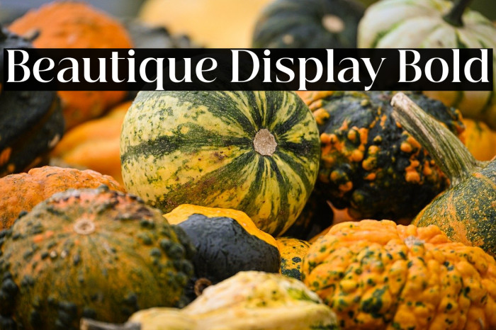 Beautique Display Bold Example 3