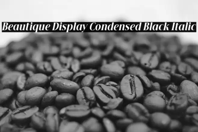 Beautique Display Condensed Black Italic Font examples