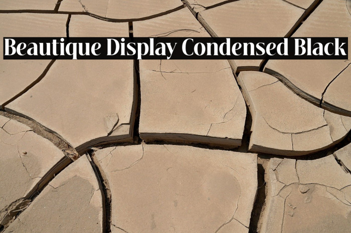 Beautique Display Condensed Black Example 2