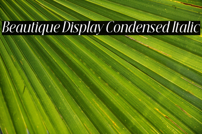 Beautique Display Condensed Italic Example 2