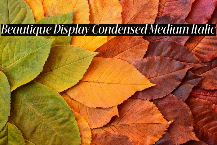 Beautique Display Condensed Medium Italic Example 2