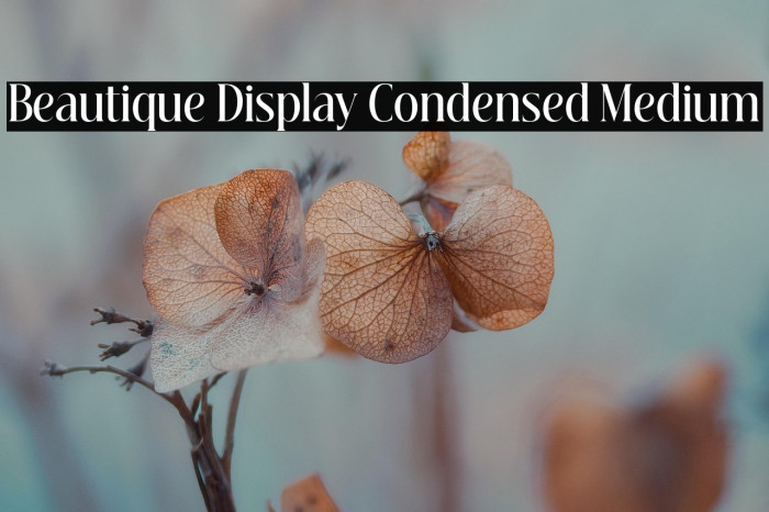 Beautique Display Condensed Medium Example 3