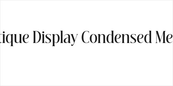 Beautique Display Condensed Medium Logo