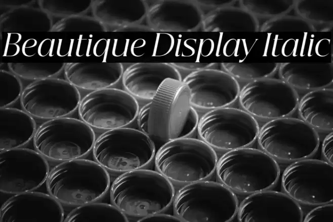 Beautique Display Italic Font examples