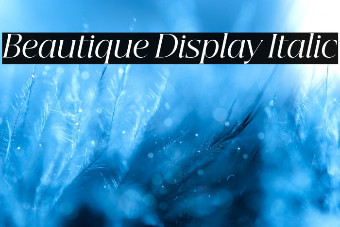 Beautique Display Italic Example 3