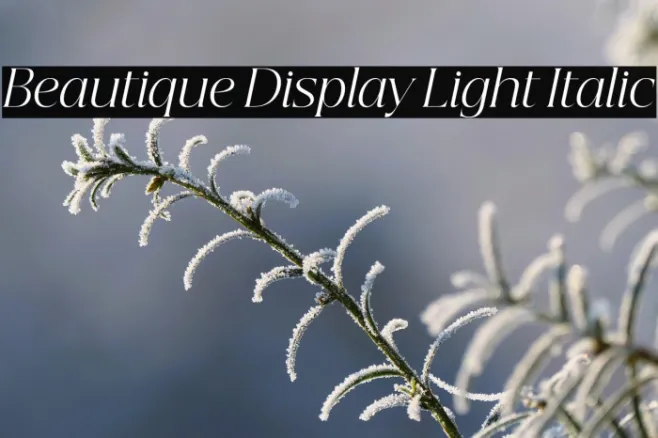 Beautique Display Light Italic Example 2