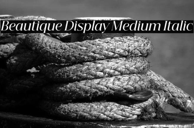 Beautique Display Medium Italic Example 1
