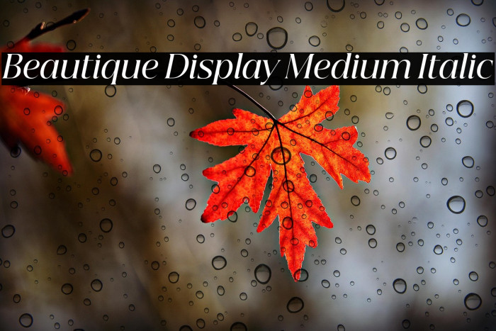 Beautique Display Medium Italic Example 3