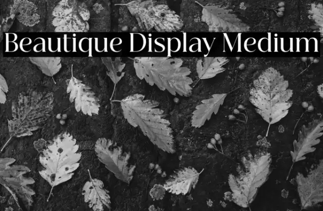 Beautique Display Medium Font examples