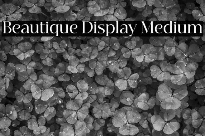 Beautique Display Medium Font examples