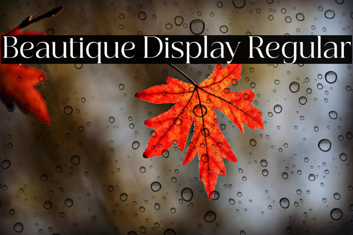 Beautique Display Regular Example 1