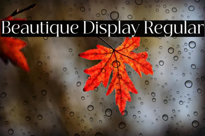 Beautique Display Regular Example 1