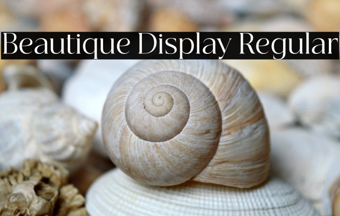 Beautique Display Regular Example 3