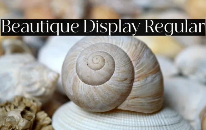 Beautique Display Regular Example 3