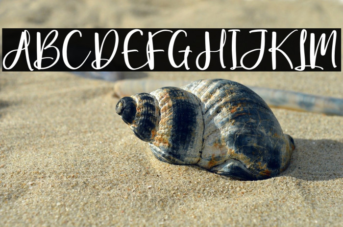 Beauty Amalia Example 1