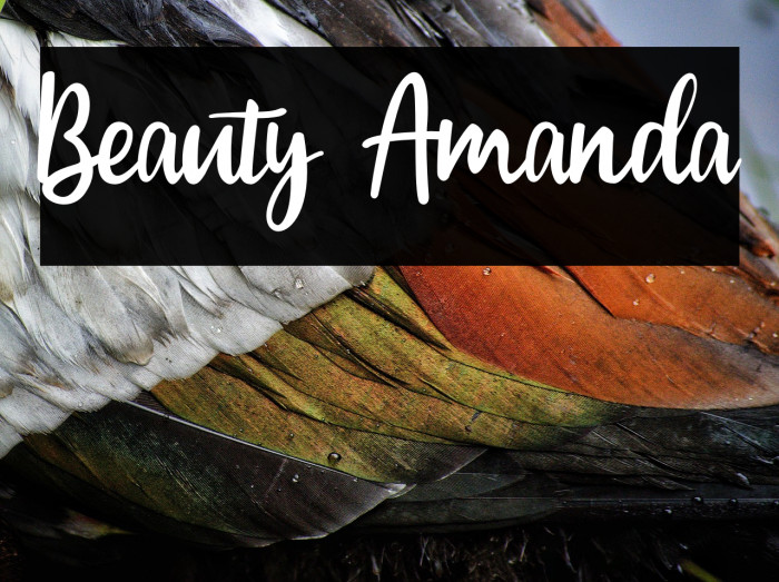 Beauty Amanda Example 2