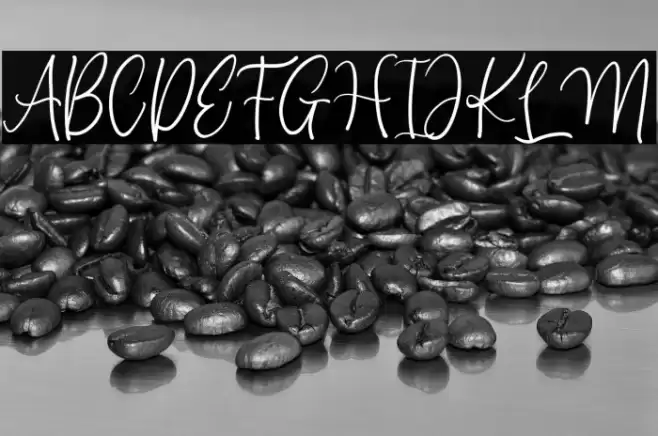 Beauty Anastasya Font examples