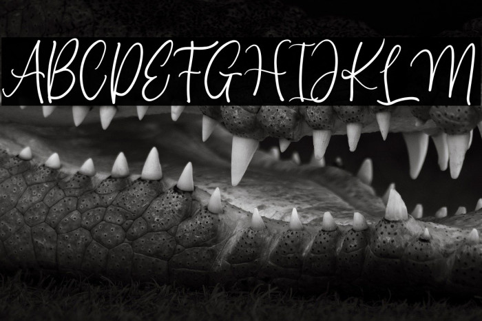 Beauty Anastasya Example 3