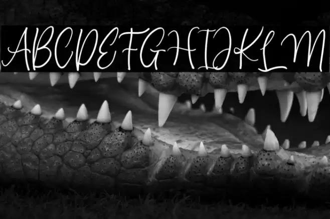 Beauty Anastasya Font examples