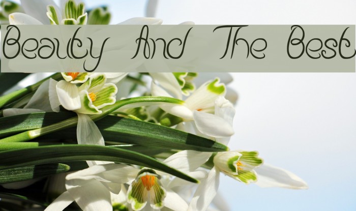 Beauty And The Best Font examples