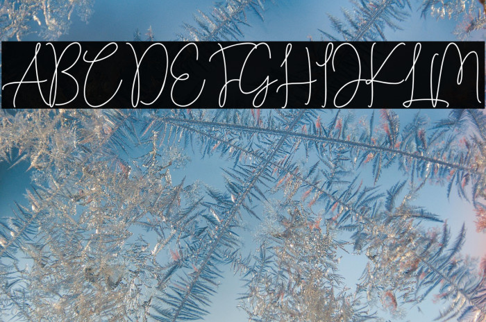 Beauty Andellia Example 2