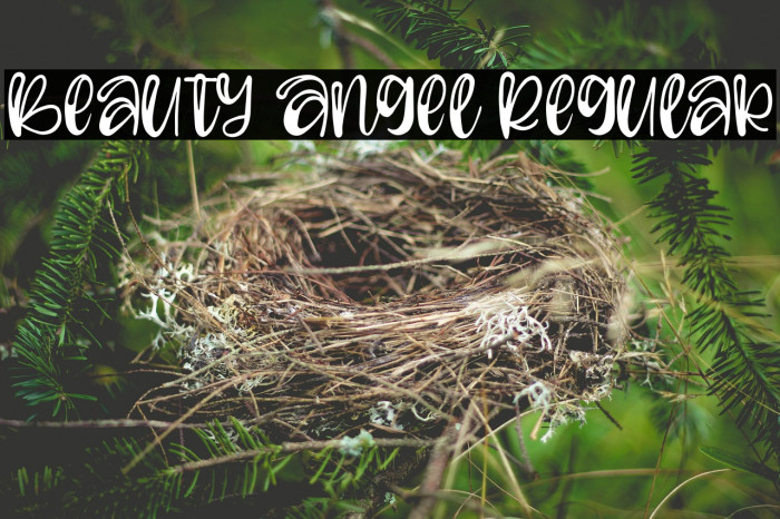 Beauty Angel Regular لخطوط تنزيل examples
