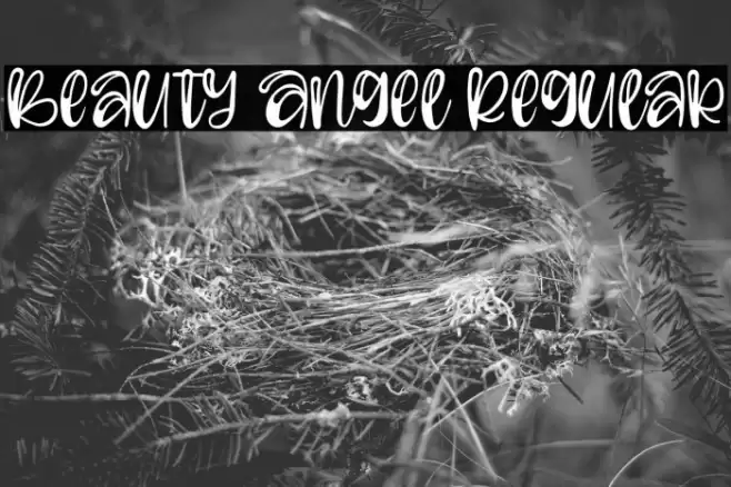 Beauty Angel Regular Font examples