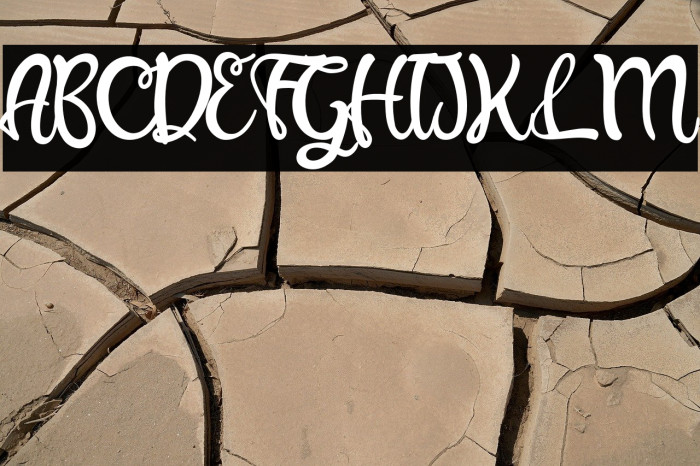 Beauty Angelin-Regular Example 2