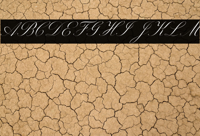 Beauty Athena Example 2