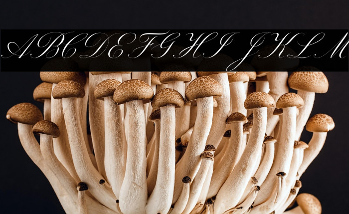 Beauty Athena Example 3