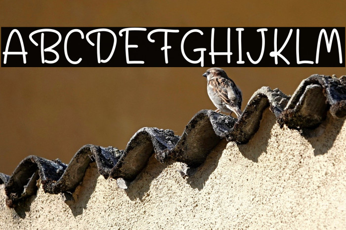 Beauty Autumn Example 2