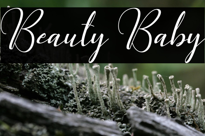 Beauty Baby Example 2