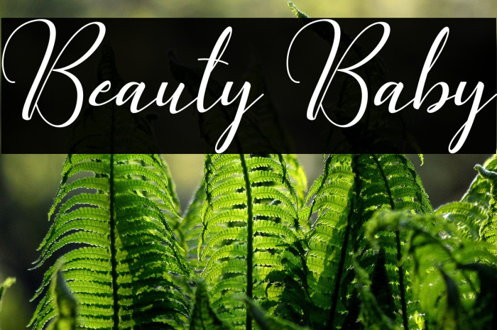 Beauty Baby Example 3