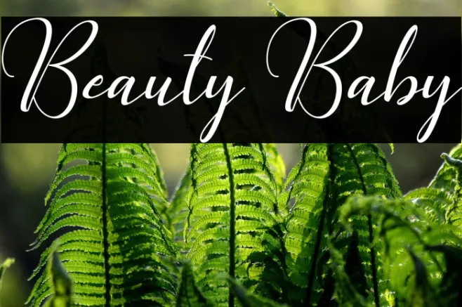 Beauty Baby Example 3