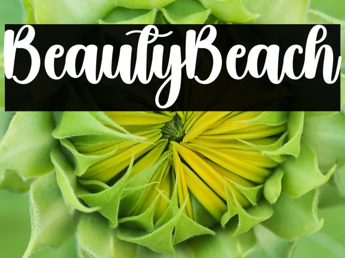 Beauty Beach Example 2