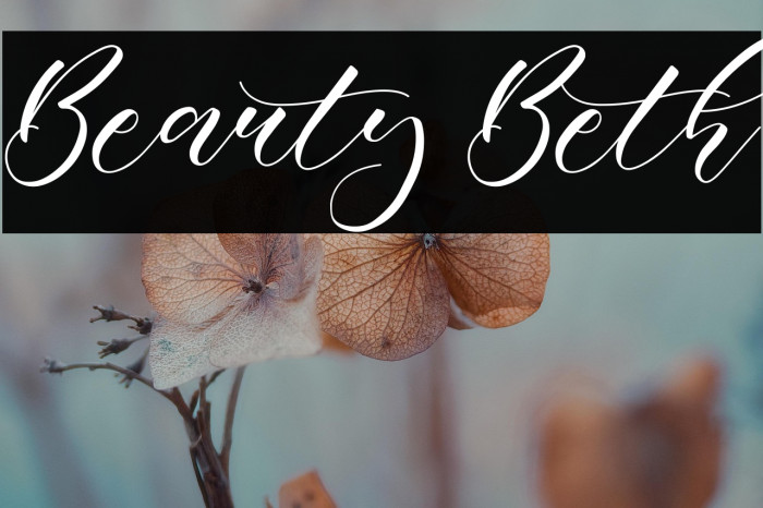 Beauty Beth Example 2