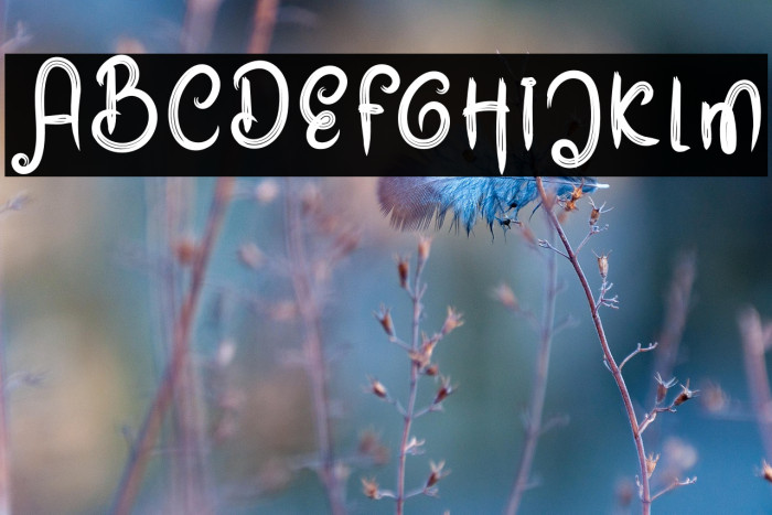 Beauty Black Example 1