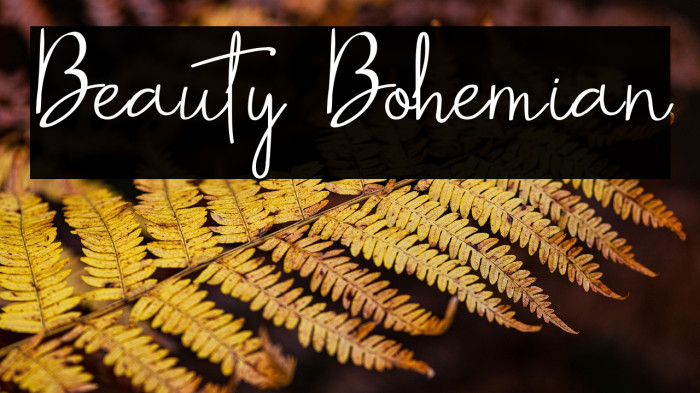 Beauty Bohemian Example 1