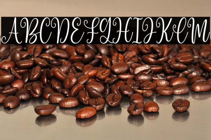 Beauty Boutique DEMO Example 3