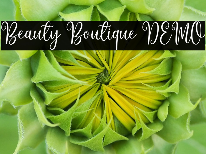 Beauty Boutique DEMO Example 1