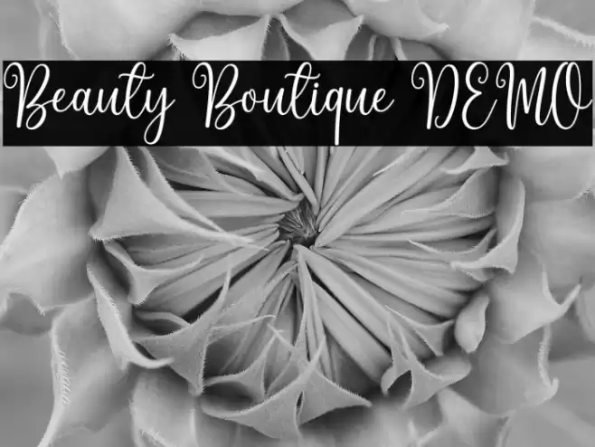 Beauty Boutique DEMO Font examples