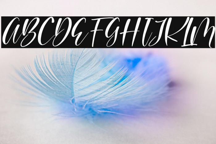 Beauty Brand Italic Example 2