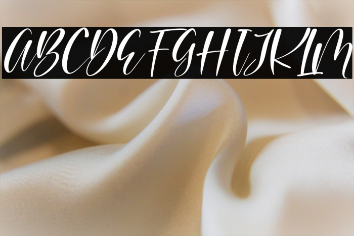 Beauty Brand Italic Example 3