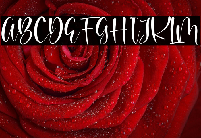 Beauty Brand Example 1