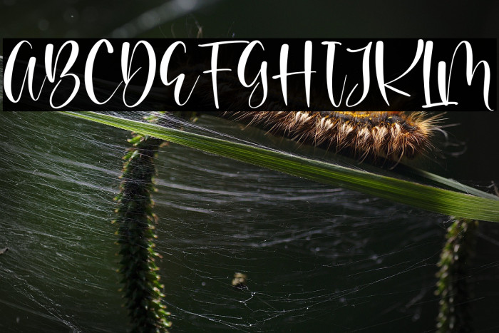 Beauty Brand Example 3