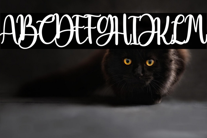 Beauty Christmas Example 2