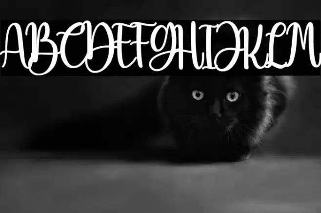 Beauty Christmas Font examples